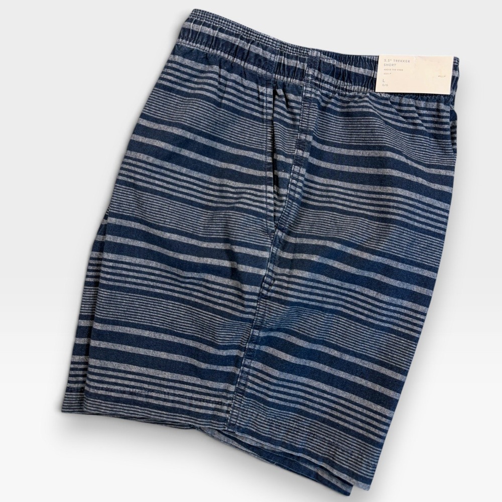 AMERICAN EAGLE Trekker Shorts Mens L Blue Striped Elastic Waist Casual Beach
